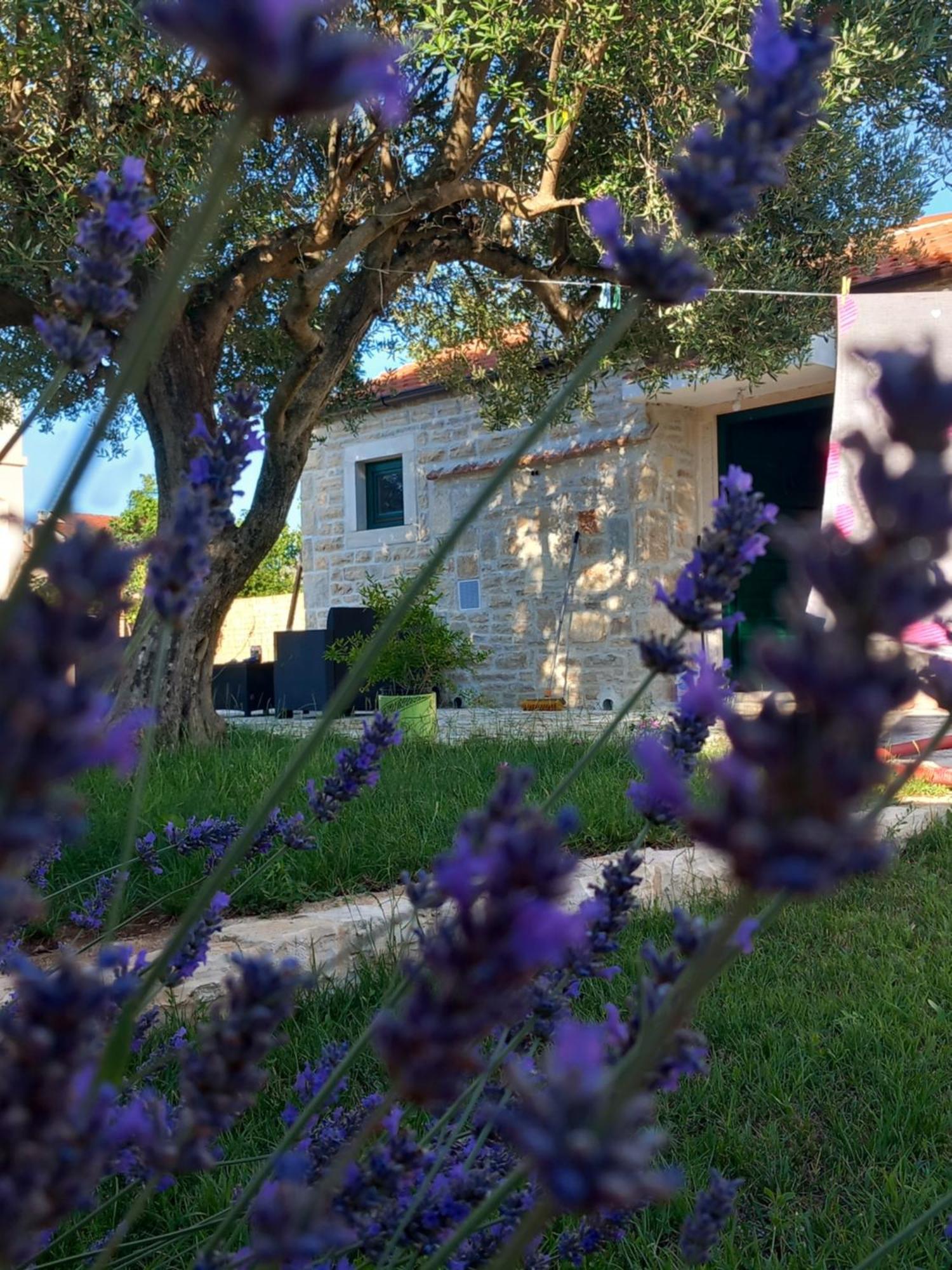 Leggiero Villa Benkovac Exterior photo